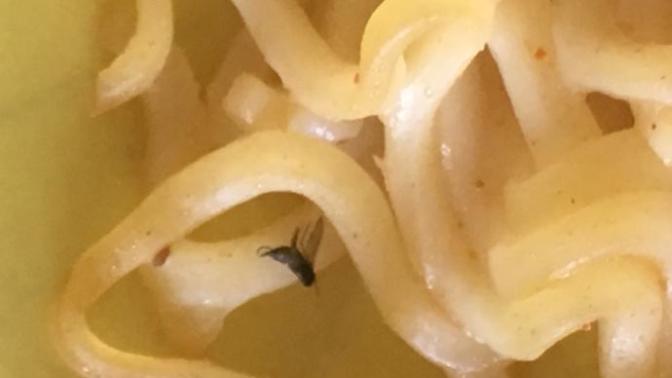 Noodle ın içinden böcek çıktı?