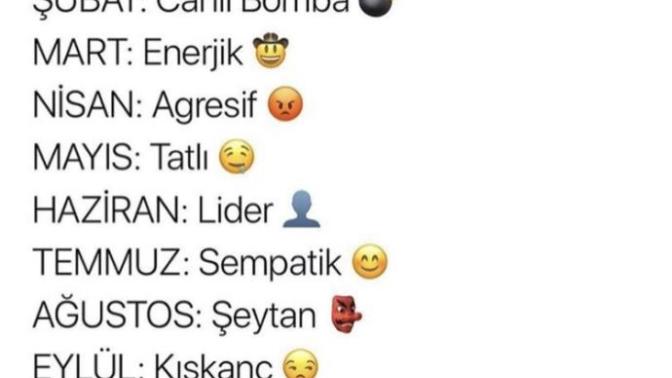 Doğum Ayına göre hangisisin?