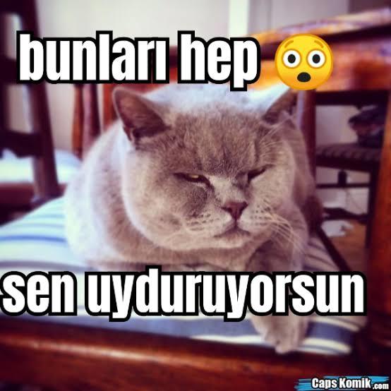 Çikolata sevip sevmediğinizi söyleyeyim mi?