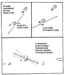 Doğada iz sürebilir misin?