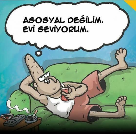 Fazla evcimen bir insanla sevgili olur musunuz?