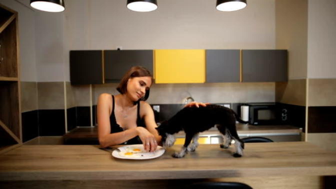 Köpeğim tabağımdan yedi diye arkadaşım "bir daha senin evinde yemek yemeyeceğim" dedi. Sizce haklı mı?