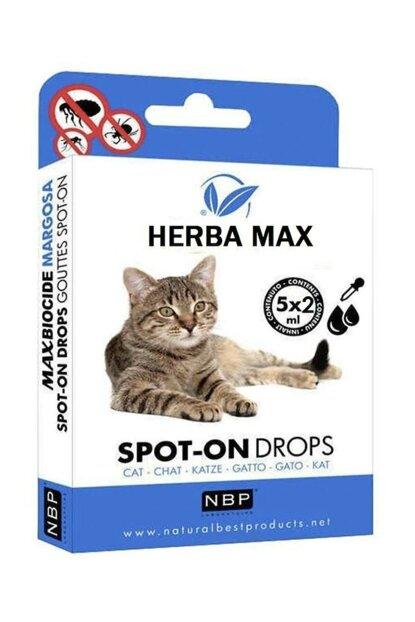 En İyi Kedi Pire Damlası Hangisidir? Kedi Pire Damlası Nereden Alınır?
