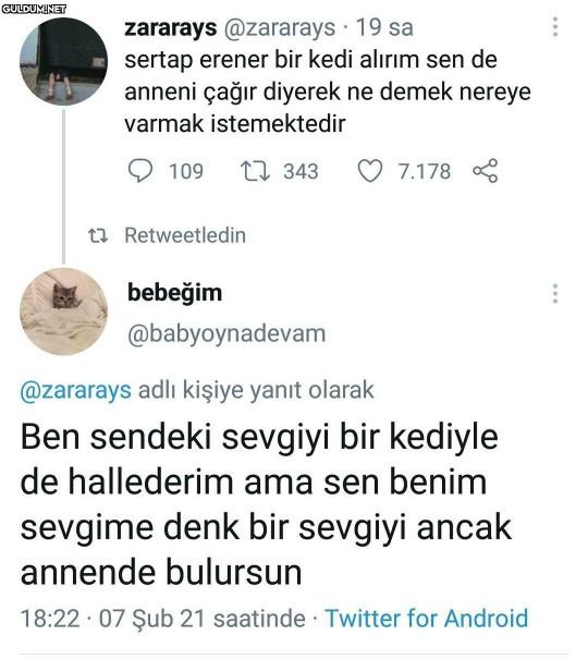 Sertab Erener “Bir kedi alırım sen de anneni çağır” derken ne demek istemiş?