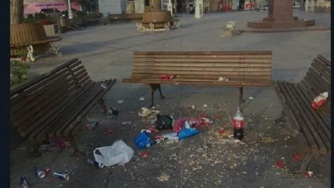 Bana pisliğin tanımı yapar mısınız?