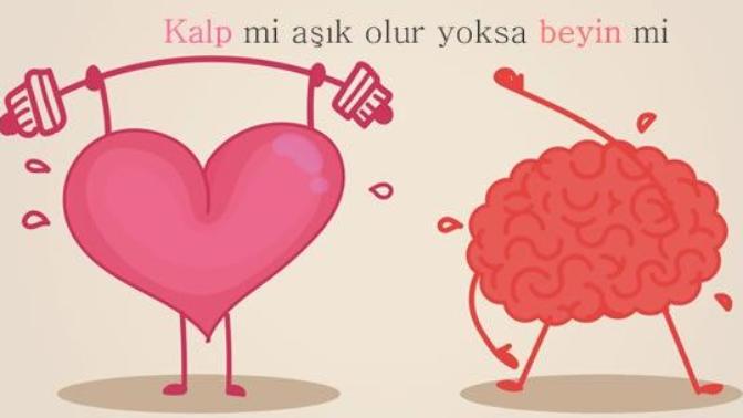 Sizce kalp mi aşık olur yoksa beyin mi?