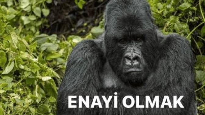 Enayi misin sen?