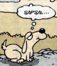 Arkadaşlar portakal nasıl soyuluyor?
