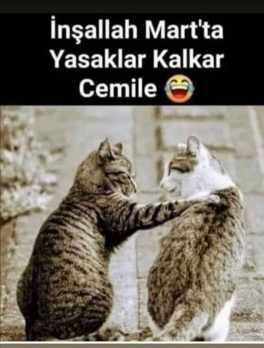 Martta yasaklar kalktığında ilk ne yapacaksınız?
