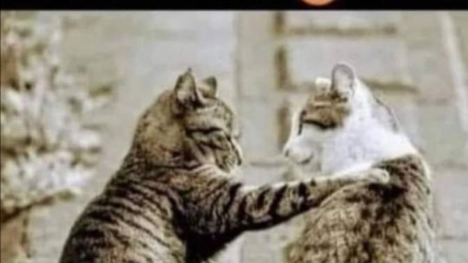 Martta yasaklar kalktığında ilk ne yapacaksınız?