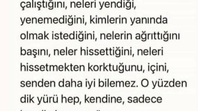 Dik yürü hep, kendine, kendin lazımsın ne güzel demiş siz ne düşünüyorsunuz?