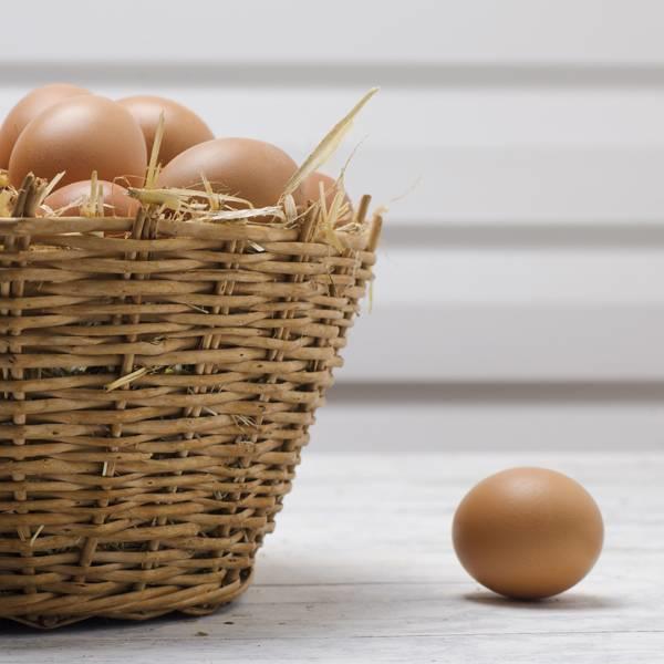 En İyi, Kaliteli, Organik Yumurta Markası Hangisidir?