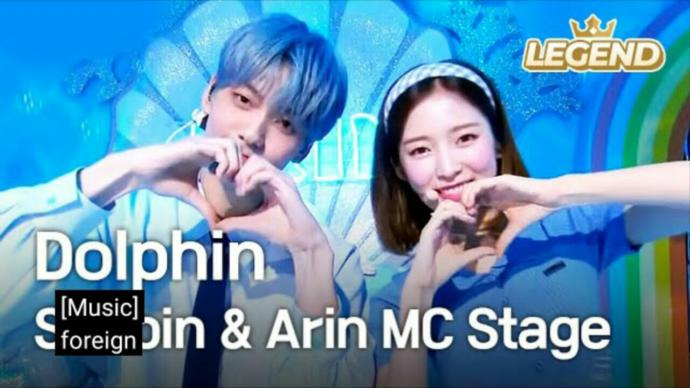 💙🐬💙🐬💙🐬💙