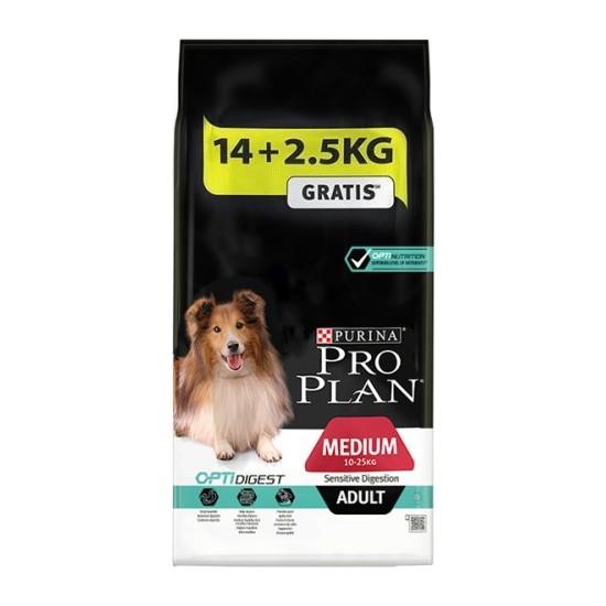 En İyi Köpek Maması Hangisi? Sizin Tercihiniz Nedir?