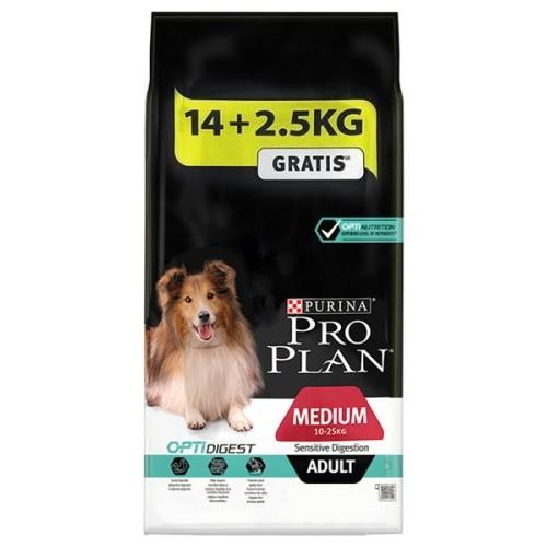 En İyi Köpek Maması Hangisi? Sizin Tercihiniz Nedir?