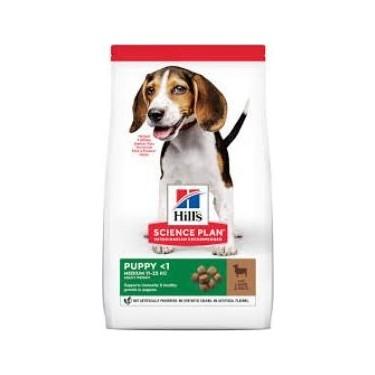 En İyi Köpek Maması Hangisi? Sizin Tercihiniz Nedir?