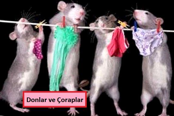 çoraplarla donlar beraber yıkanır mı?