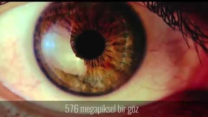 Ateistler bu evrendeki düzeni nasıl tesadüf diyor?