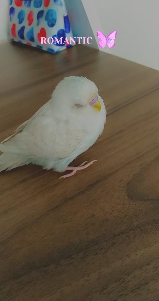 Çok cik cik im dimi nasılım 🤣 ?