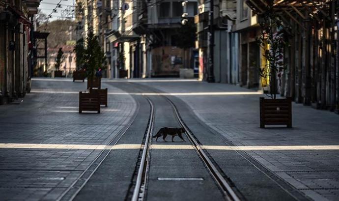 Bakan Koca: Şu an için tam kapanma durumu düşünmüyoruz ama vaka sayıları artıyor. Sizce tam kapanma olmalı mı?