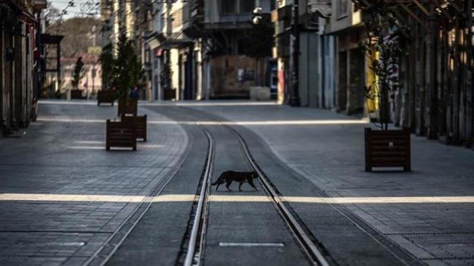 Bakan Koca: Şu an için tam kapanma durumu düşünmüyoruz ama vaka sayıları artıyor. Sizce tam kapanma olmalı mı?