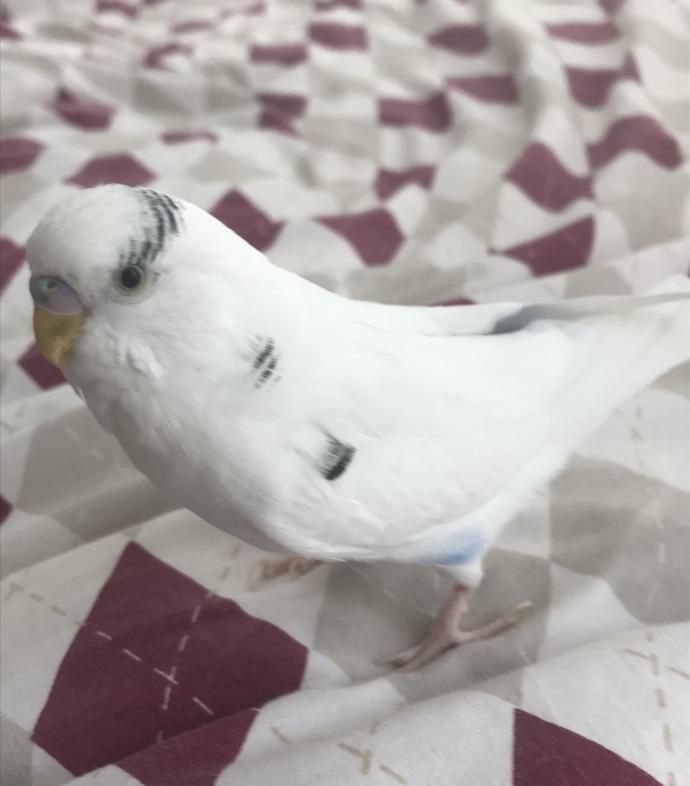 Mubişim nasıl sizcee😊?