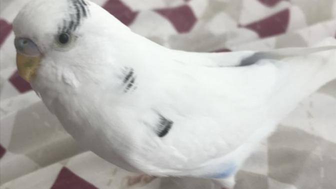 Mubişim nasıl sizcee😊?