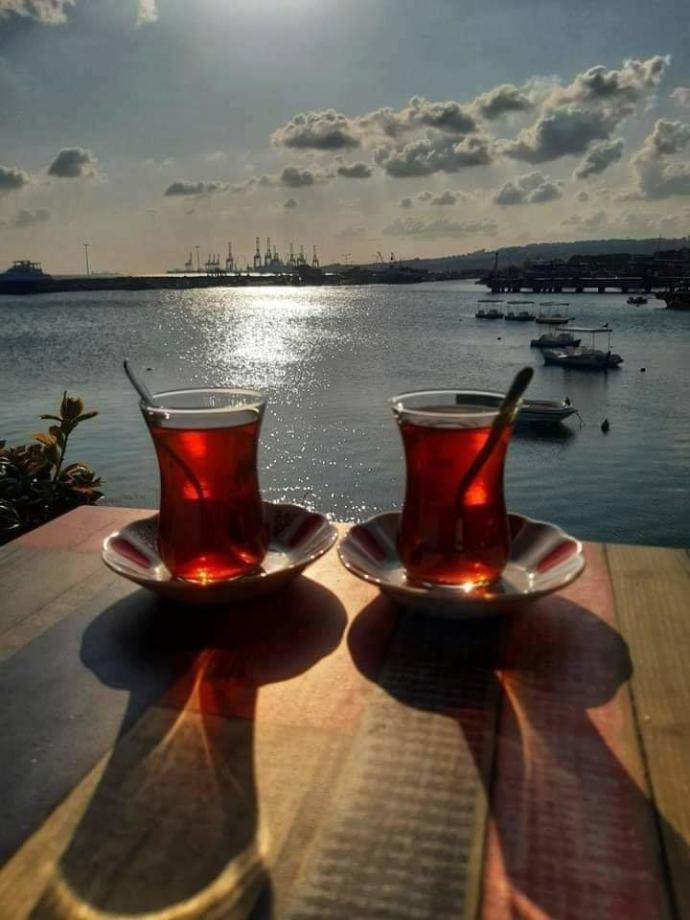 Sizin dünya anlayışınız nedir?