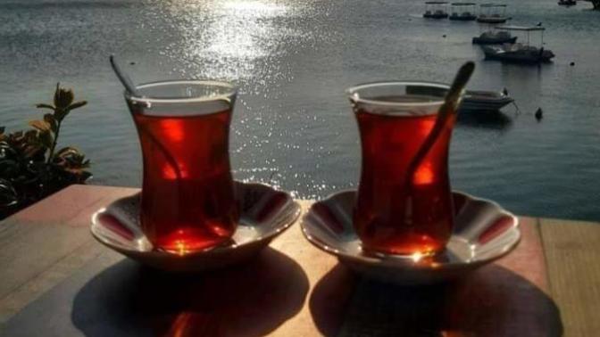 Sizin "dünya anlayışınız" nedir?