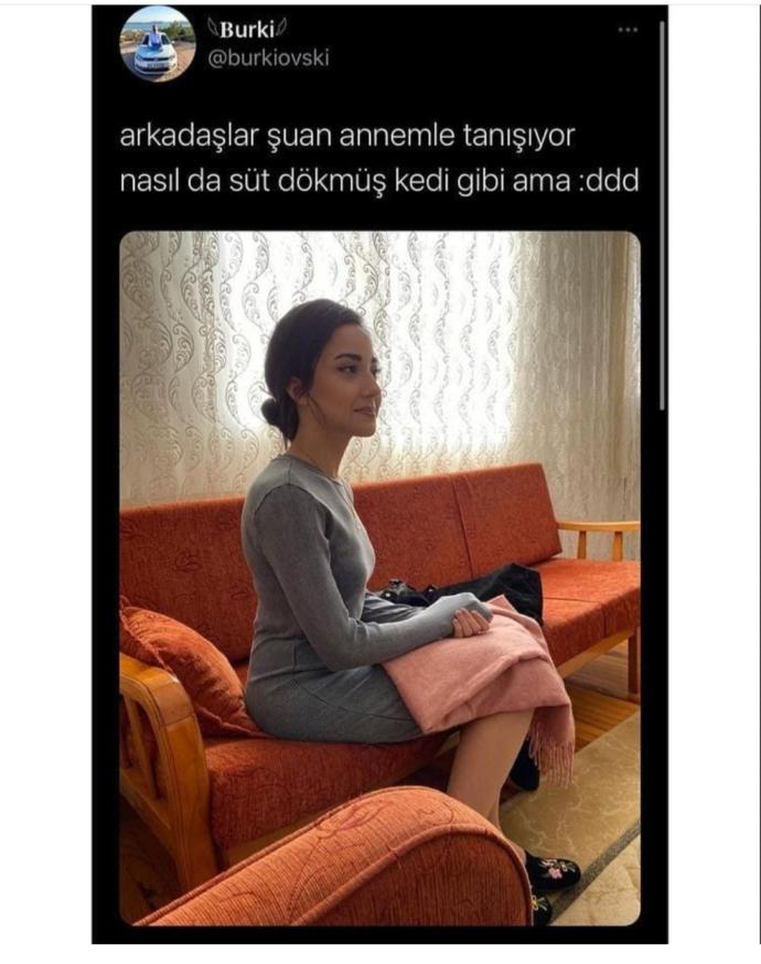 Anneme karşı süt dökmüş kedi gibi gelin olabilecek hatunu nerde bulabilirim?