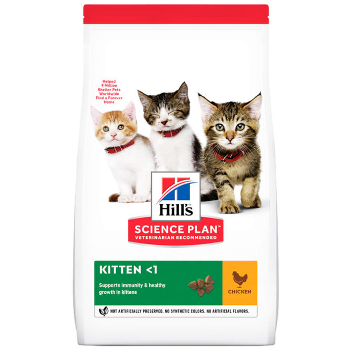 En iyi kedi maması hangisidir? Önerilerinizi alabilir miyim?