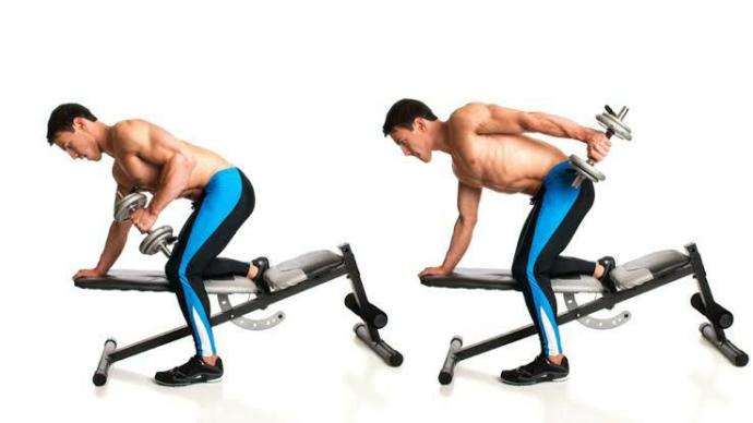 Evde 2.5 kg iki dumbell ile arka kol kasları gelişir mi? Sarkmayı biraz toparlamak ve önlemek için?