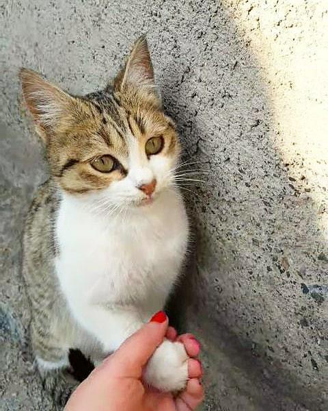 Kadınlar Günü'nde, ojeli parmaklarla #KeyfimBilir demek istediklerin neler KScan?