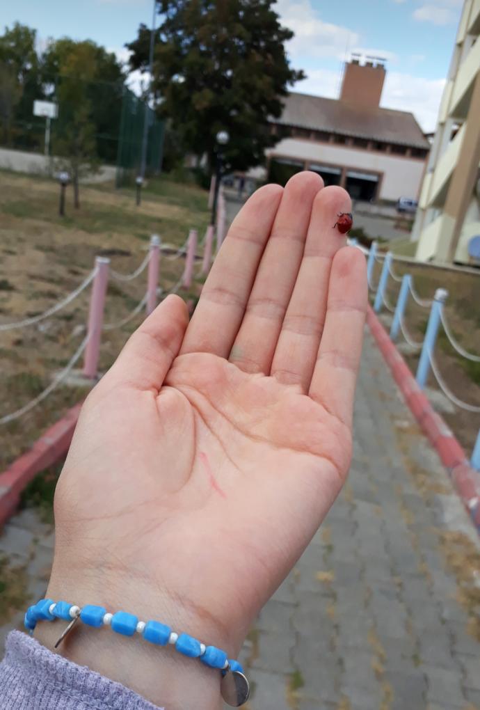 Kadınlar Günü'nde, ojeli parmaklarla #KeyfimBilir demek istediklerin neler KScan?