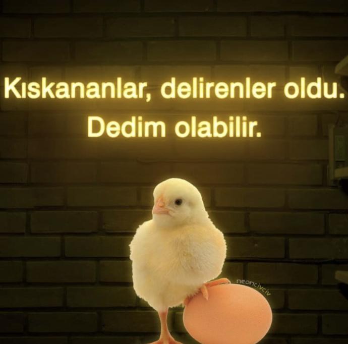 Haset ve kıskanç insanlardan nasıl korunabiliriz?