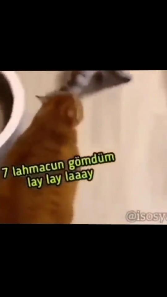 Lahmacun seviyor musunuz?