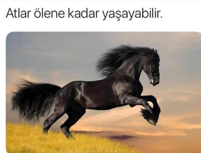 Çok mutsuzum, anksiyete bozukluğum var. Psikolojim nasıl düzelir?