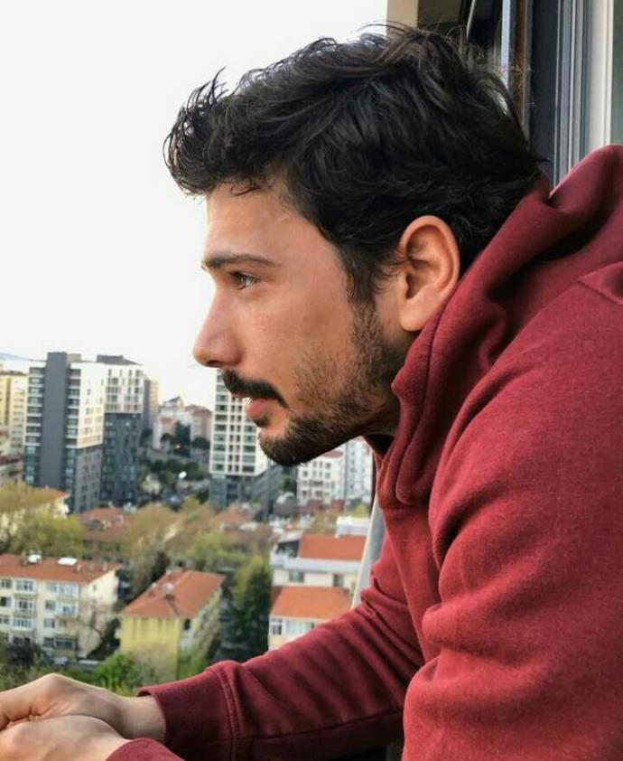 Saf erkek nereden bulabilirim?
