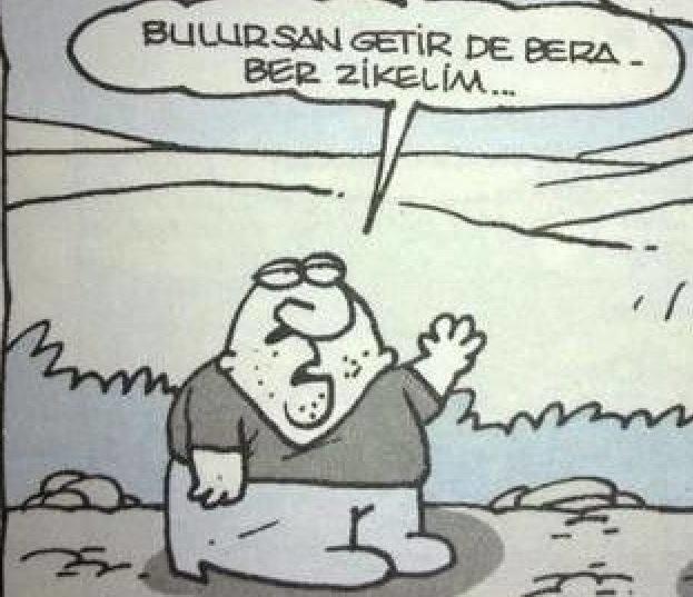 Saf erkek nereden bulabilirim?