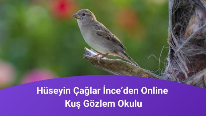 Bi'Bilen Hüseyin Çağlar İnce ile kuş gözlem okulu eğitimi kazanmak ister misin 🦉?