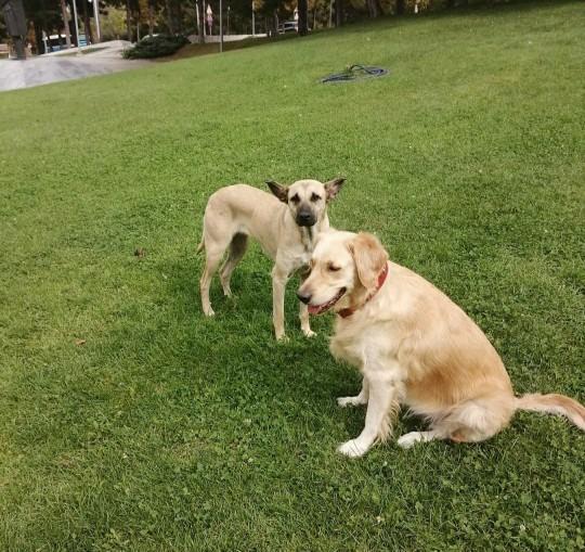 Günün en güzel 🐕sorusu🦮 gelsin benim kızım🐕 nasıl🐕🦺 en guzel isimi kim bulalımmı?