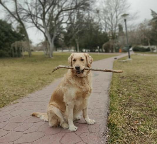 Günün en güzel 🐕sorusu🦮 gelsin benim kızım🐕 nasıl🐕🦺 en guzel isimi kim bulalımmı?