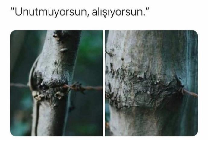 Sizce yazmalı mıyım? Aklinda biri var mı?