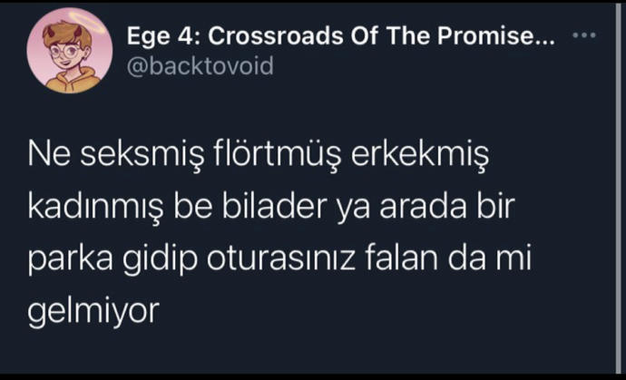 Ne seksmiş flörtmüş erkekmiş kadınmış be bilader?