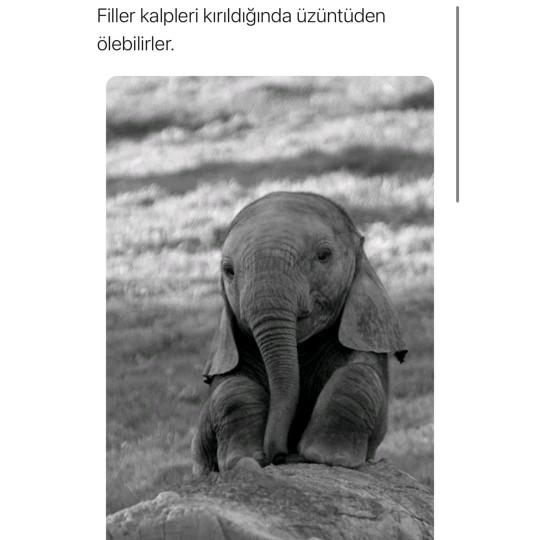 D vitamini eksikliği nasıl çabucak düzelir?