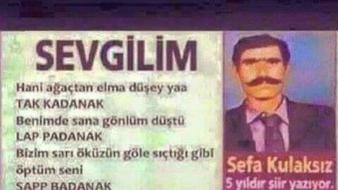 Şiir yazar mısınız?