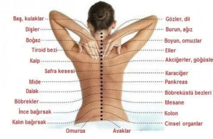 Benim parmaklarım konuşmasına gerek yok su an bile bunlari yazarken bana kızıyor neyse birazdan bırakacam çok yoruldular bugun