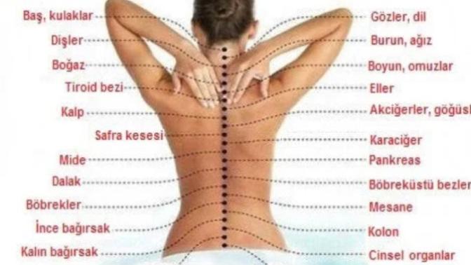 Vucudun konuşsaydı, Hangi Organın senden şikayetçi olurdu?