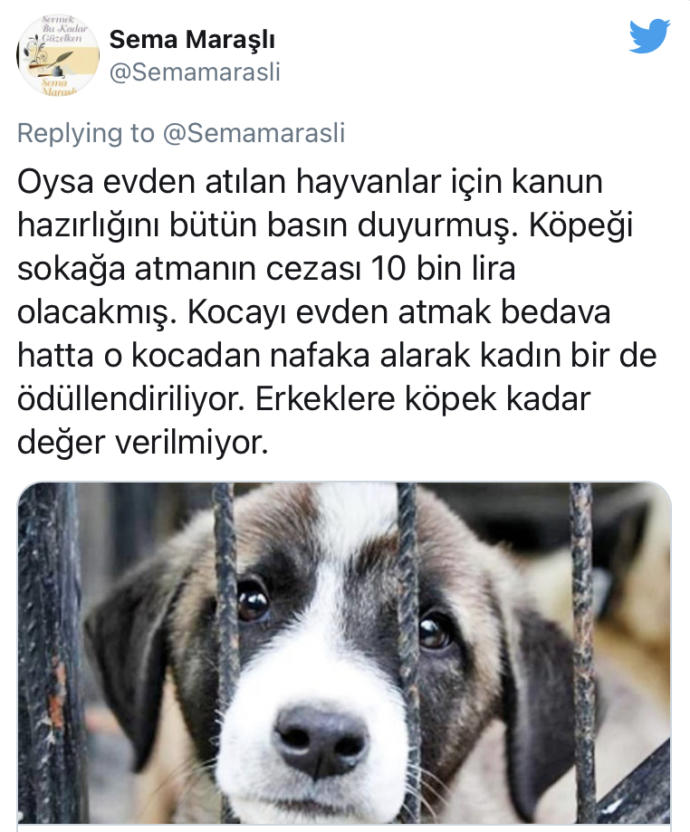 Çok saygıdeğer hanımefendi Sema Maraşlı ile ilgili ne düşünüyorsunuz?
