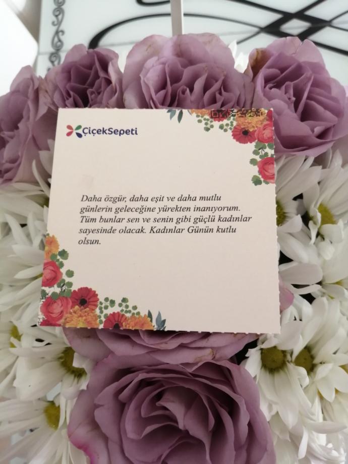 🌺 🌺 🌺 🌺